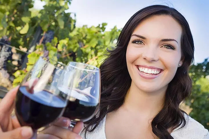 Niagara-on-the-Lake Small Group Wine Tour with Picnic Lunch - Primary Image