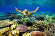 Key Largo Coral Reef Park and Sunset Celebration - Image 2