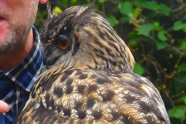 Dunrobin Castle and Glenmorangie Distillery - Local Private Tour