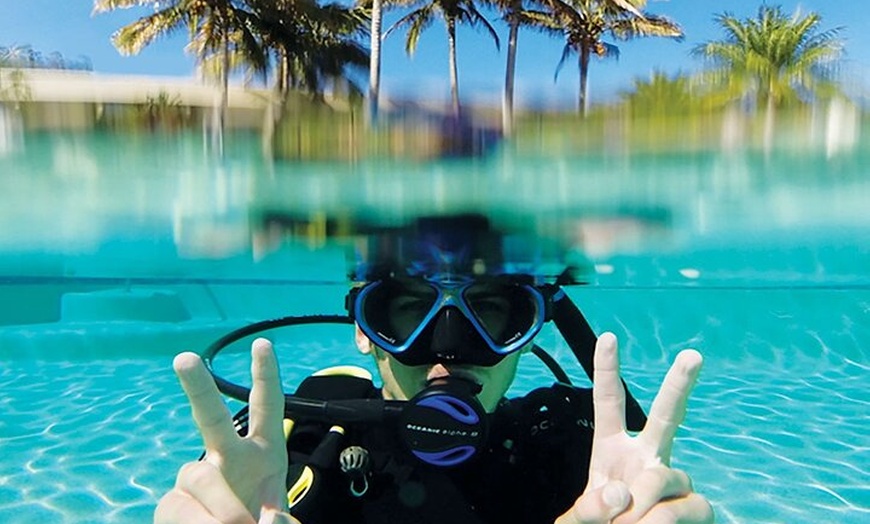 Image 3: Adventure Moreton Island Scuba Dive Tour