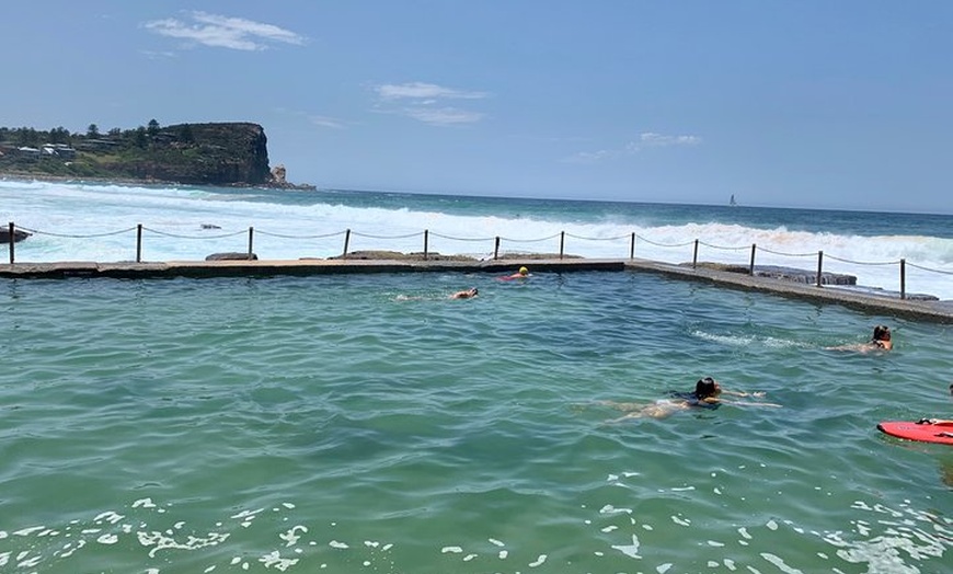 Image 4: Shore Excursion: Sydney's Northern Beaches & Ku-ring-gai National P...