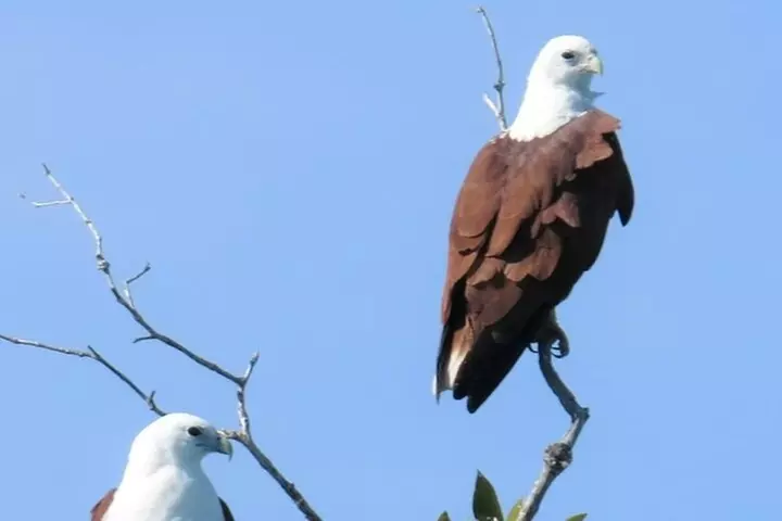 SCENIC AND PREHISTORIC CRUISE - Sparkling Wine & Gourmet Platters