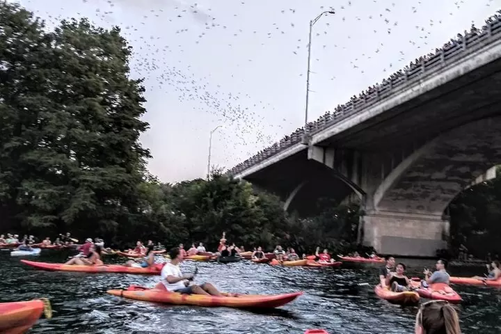 Congress Avenue Bat Bridge Kayak Tour in Austin