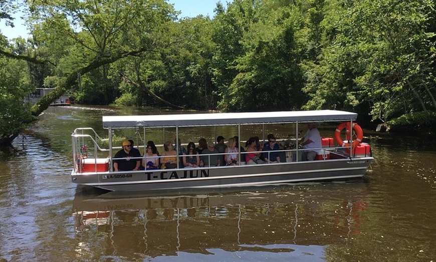 Cajun Pride Swamp Tours Cajun Pride Swamp Tours Groupon