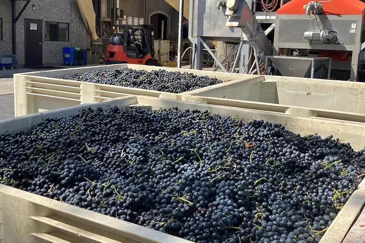 Best Private Wine Tours of Napa Valley Sonoma for up to 8 people