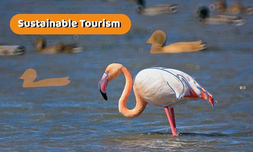 Image 2: El Tour Original de la Albufera : Barraca, Paseo en Barco & Guía Local