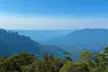 Sydney: PRIVATE Blue Mountains, Wildlife & Cruise Luxe Tour (10h) - Second Medium