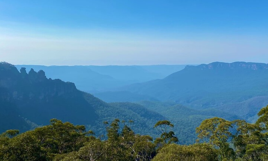 Image 5: Sydney: PRIVATE Blue Mountains, Wildlife & Cruise Luxe Tour (10h)