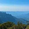 Image 5: Sydney: PRIVATE Blue Mountains, Wildlife & Cruise Luxe Tour (10h)