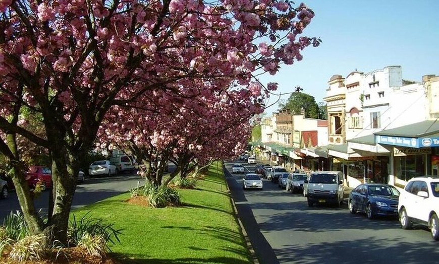 Image 10: Blue Mountains Half Day Experience with Scenic World and Lookouts