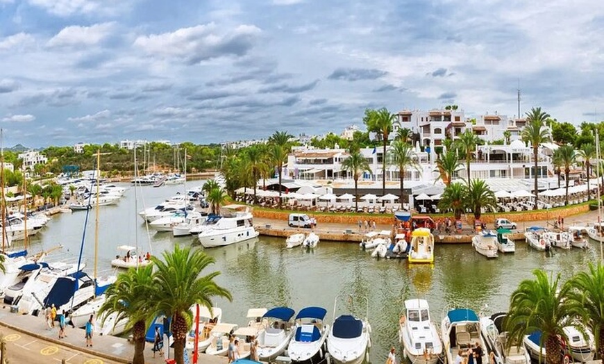 Image 3: Observación de delfines y natación en Cala d'Or