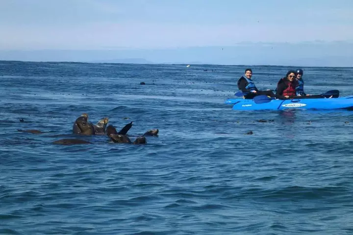 La Jolla Sea Caves Kayak Tour For Two (Tandem Kayak)