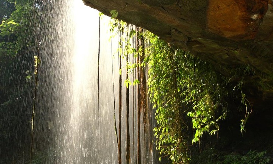 Image 9: Rainforest & Waterfall Experience