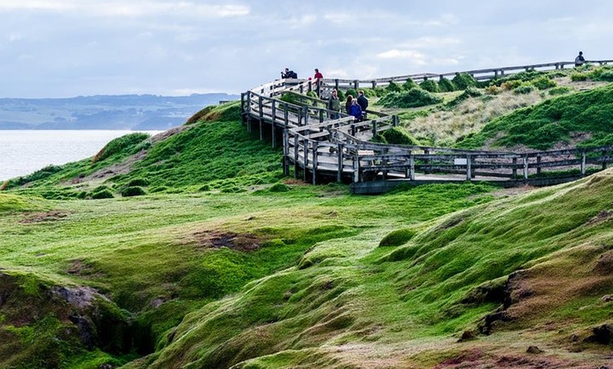 Image 14: Phillip Island Penguin Parade Day Trip with Koala Conservation Rese...