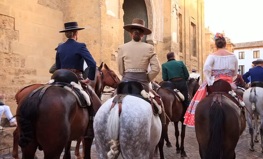 Image 5: Traslado Privado de Sevilla a Granada con Escala en Córdoba