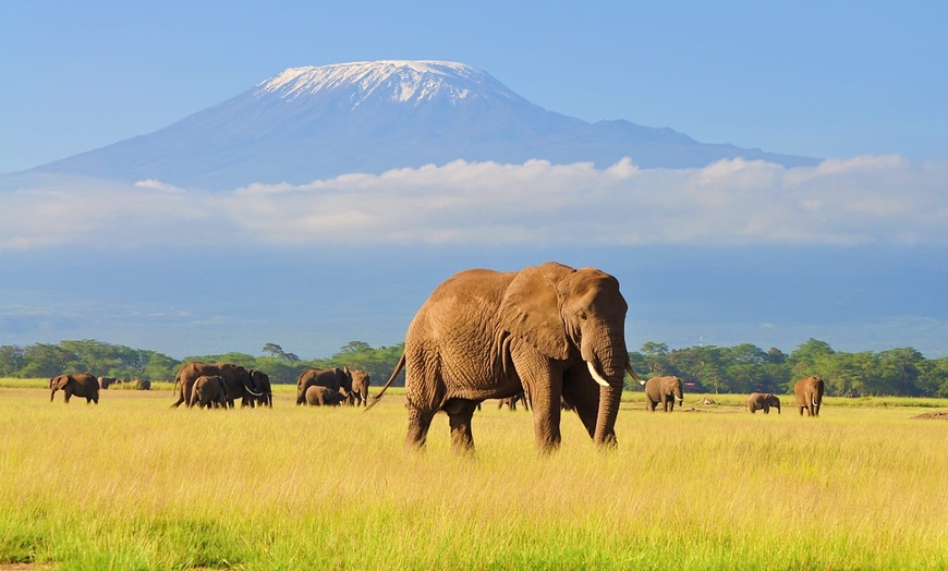 Image 9: ✈ TANZANIE | Du Kilimanjaro à Zanzibar - Les merveilles de la Tanza...