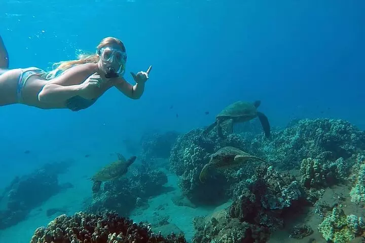 San Juan Guided Snorkel With Turtles Tour and Videos - Primary Image