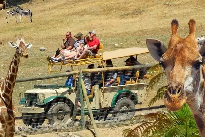 Private Tour of Sonoma Wild Safari Animal Park and Sonoma Redwoods - Primary Image