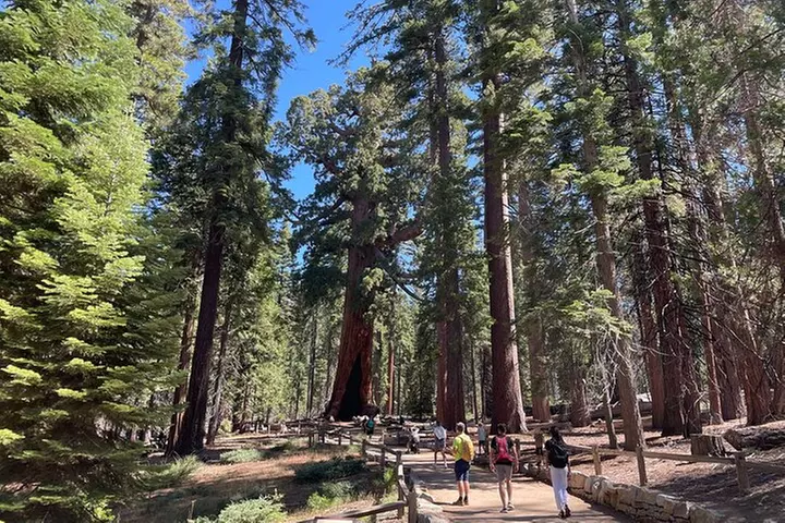 Yosemite National Park & Sequoias Private Tour from San Francisco
