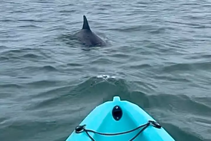 Dolphin Kayak Tour in Virginia Beach Must know how to swim - Primary Image