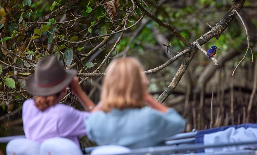 Image 14: Daintree River 'Sunset' Cruise with the Daintree Boatman