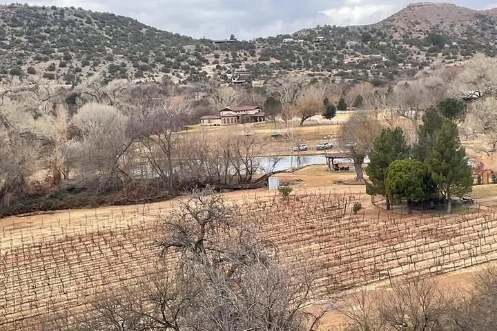 Vines and Views Sedona Elite Ride Experience