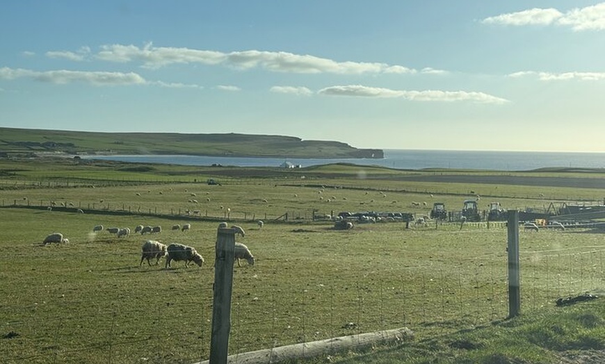 Image 2: Private Orkney Island Tour with Expert Guide