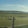 Image 2: Private Orkney Island Tour with Expert Guide