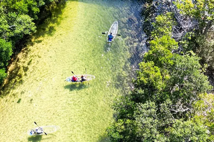 Clear Kayak Ecotour at Robinson Preserve in Bradenton, Florida