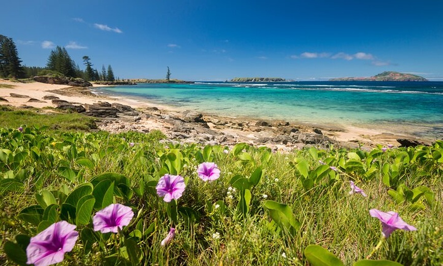 Image 7: Island Orientation Package incl. Return Airport Transfers & Tour