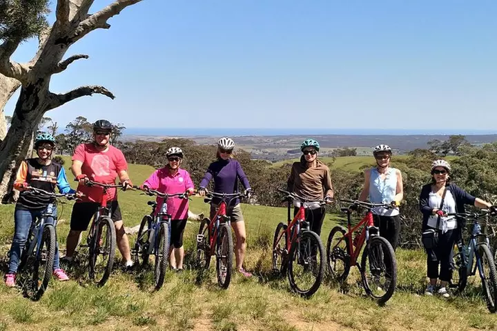 McLaren Vale Wine Tour by E-Bike (Private & Small Group)