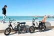 Electric Bike Wildlife & History Tour along Fort De Soto's Beaches - Second Medium