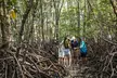 Small Group Daintree Rainforest and Aboriginal Coastal Adventure - Image 3
