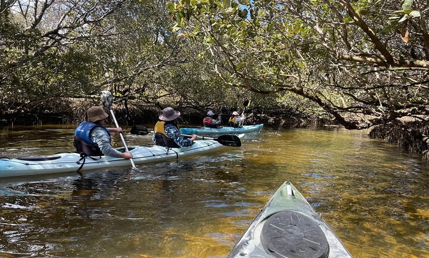 Image 2: Dolphin Sanctuary Kayak Tour Adelaide