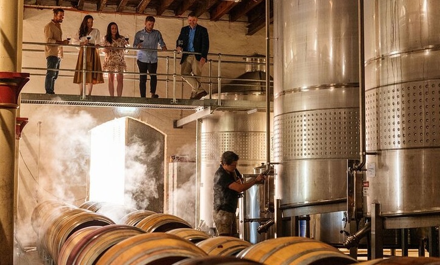 Image 6: Private Château Tour and Tasting in Australia