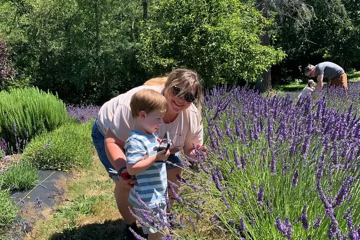 U-Pick Lavender Experience on Bainbridge Island - Second Medium