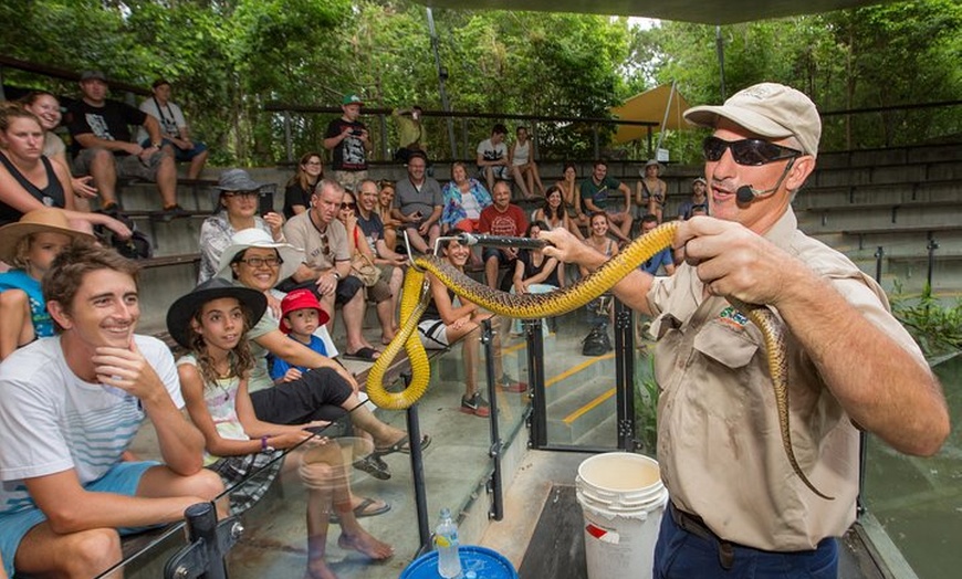 Image 5: Hartley's Crocodile Adventure Half-Day Tour