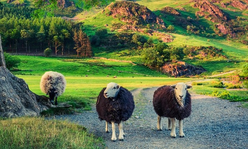 Image 7: Windermere to Grasmere Mini Tour - Includes stop by Rydal Water at ...