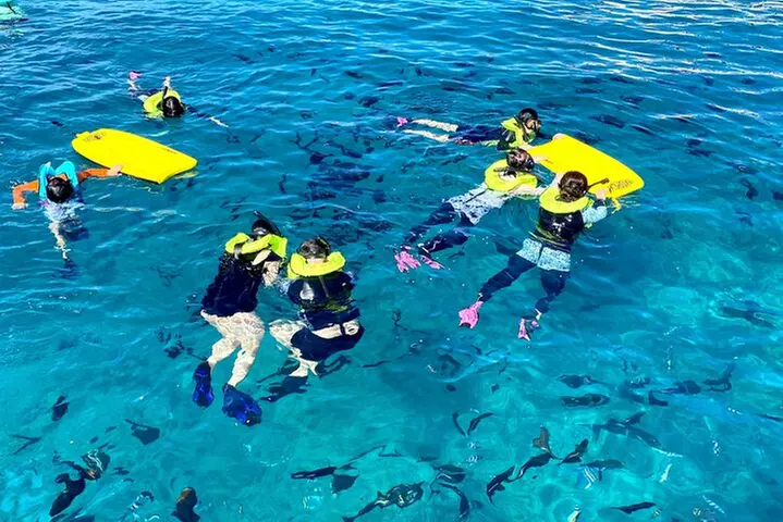 Waikiki Catamaran Escape: Snorkel with Turtles & Water Sports Fun