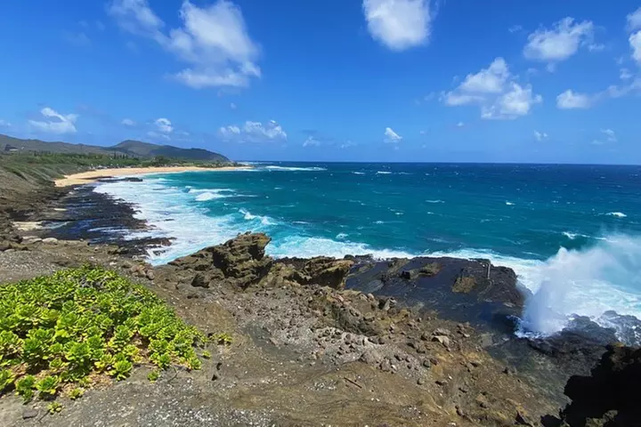 Diamond Head Hiking and Oahu Island Experience feat. North Shore
