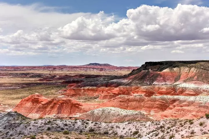 Petrified Forest National Park Self-Guided Driving Audio Tour