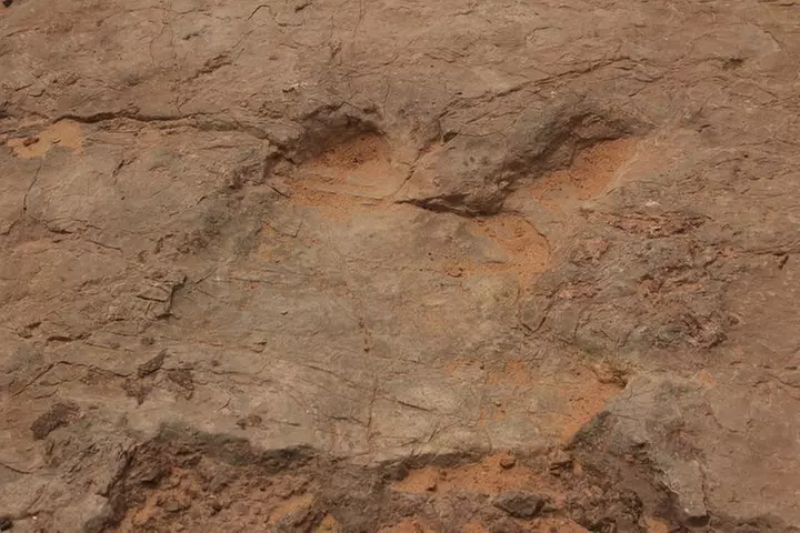 Arches National Park 4x4 Adventure from Moab