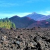 Image 1: Viajes en el tiempo entre los volcanes Trevejo y Chinyero en Tenerife