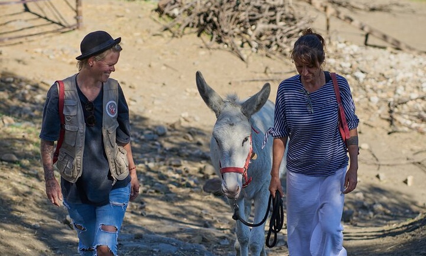 Image 6: Caminando con Nuestros Burros de Rescate