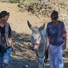 Image 6: Caminando con Nuestros Burros de Rescate