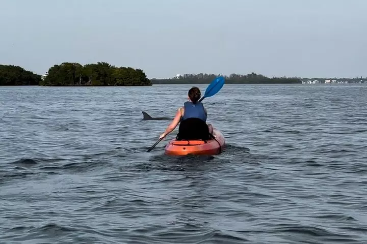 Sunset Kayaking with Dolphins