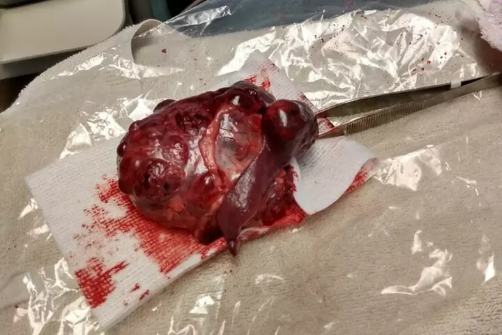 Walking Dead Escape Room in Myrtle Beach