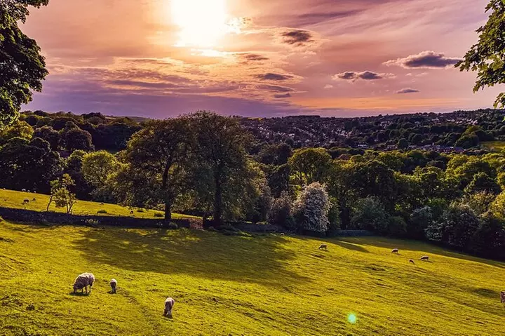 Sheffield Tour App, Hidden Gems Game and Big Britain Quiz (1 Day Pa...