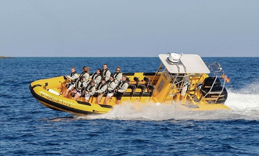 Image 2: Avistamiento de Delfines y Baño en Playa de Papagayo Lanzarote