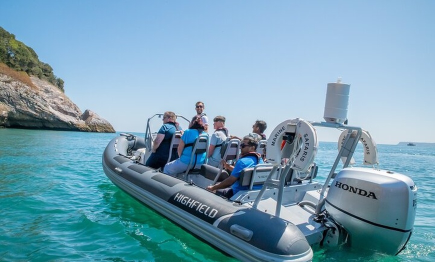 Image 1: Torquay Coastal RIB Seafari